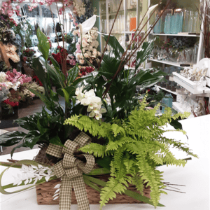 funéraire 1049 (copie)