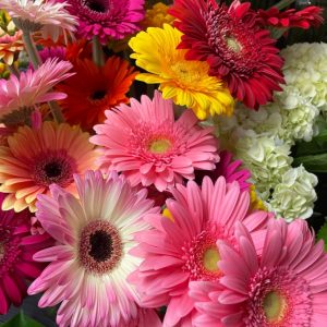 st valentin4