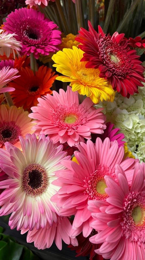 st valentin4