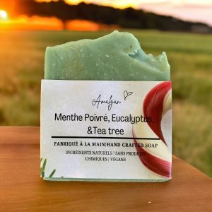 mangue et tangerine