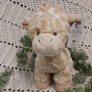 5 girafe