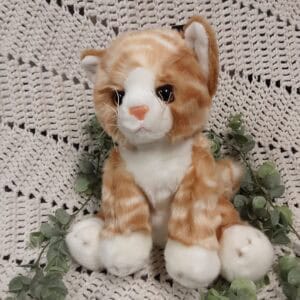 7 chaton caramel