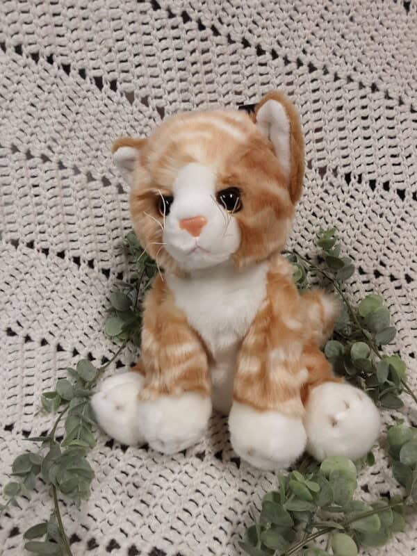 7 chaton caramel