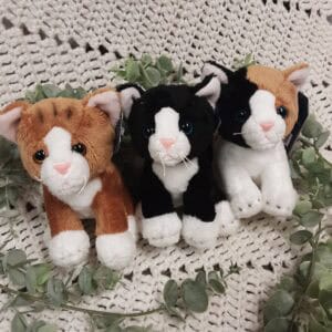 12 les trois petits chats