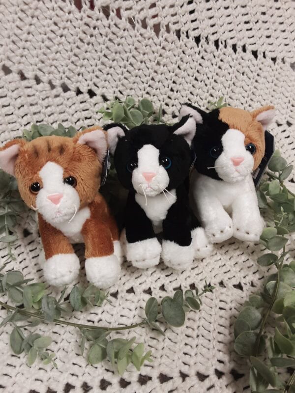 12 les trois petits chats
