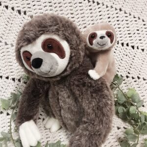 14 maman paresseux et son bébé