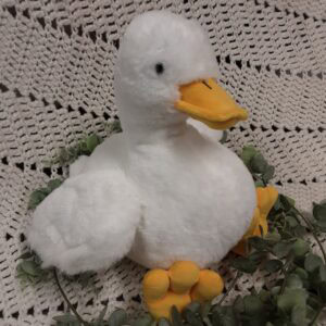 17 le canard