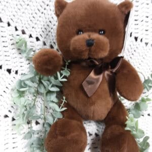 27 ourson mignon