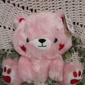30 l’ours de coeur