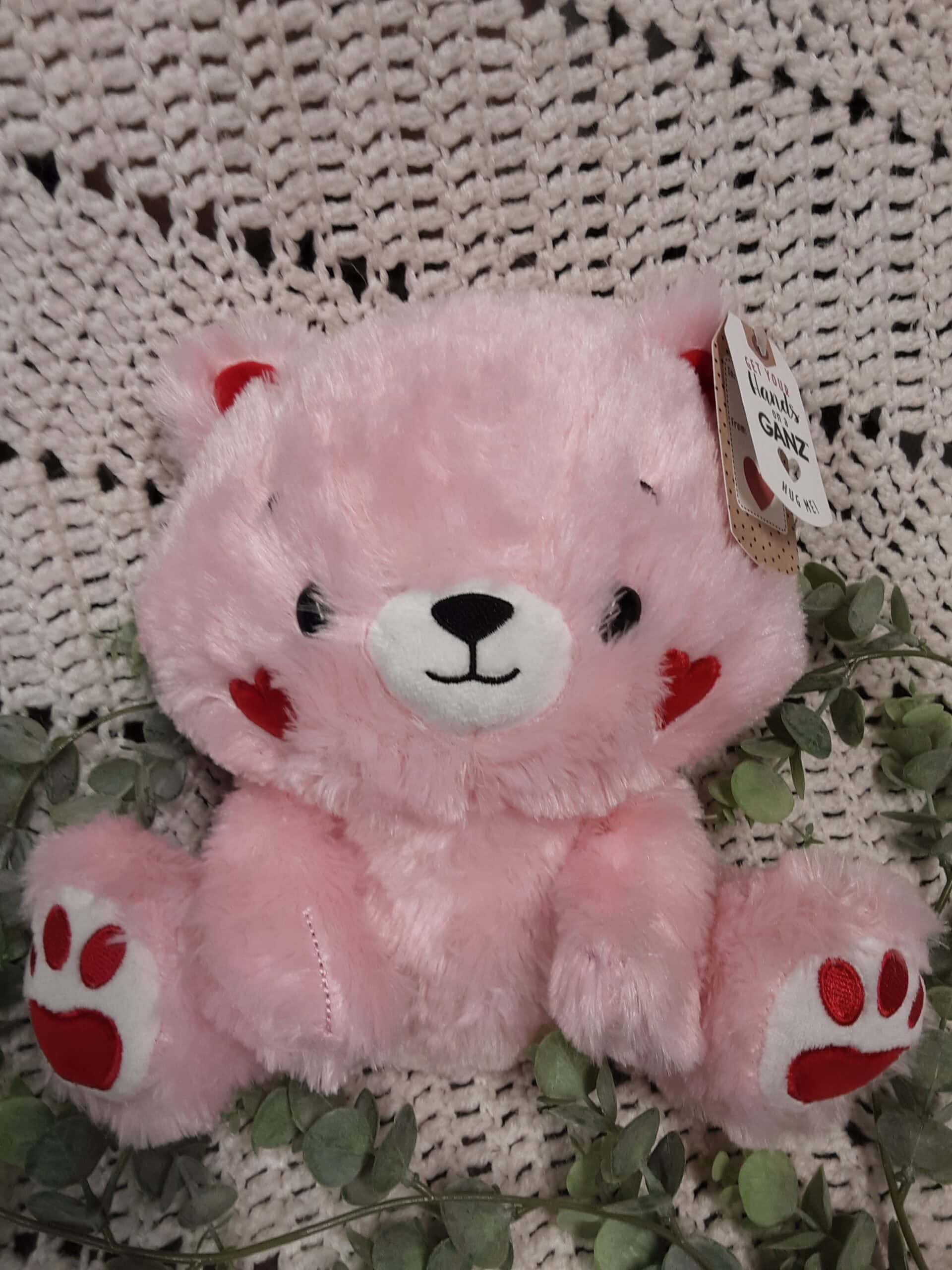 30 l’ours de coeur